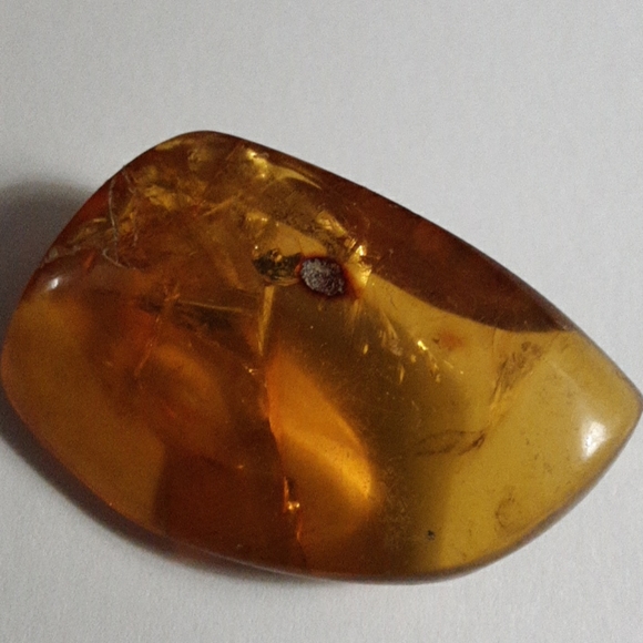 Baltic Amber - Picture 3 of 5
